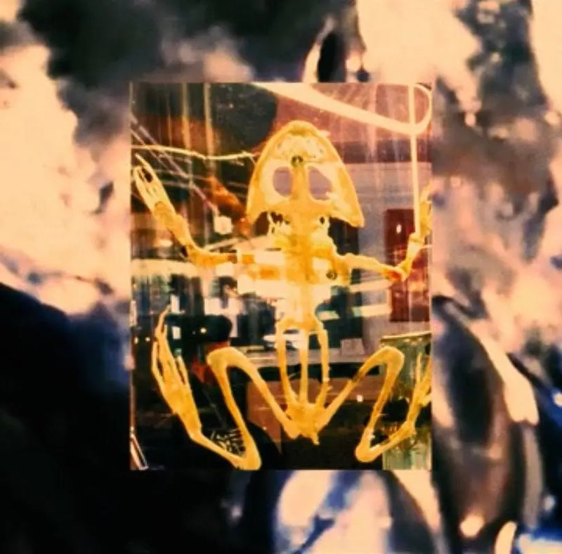 Tom Trago Feat. Kristian Hamilton - Love Is Hard - Patta