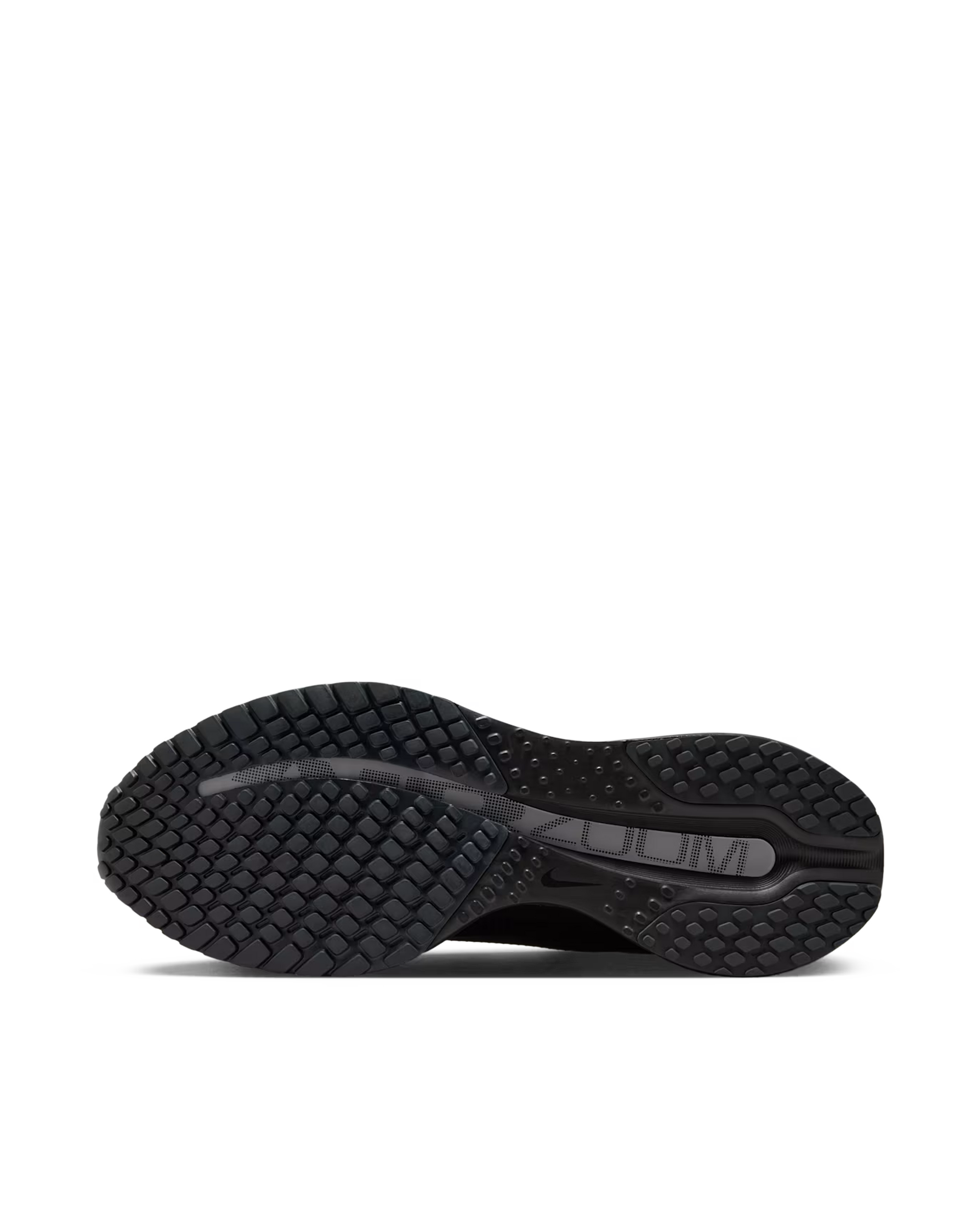 Nike Pegasus Premium SP (Black/Metallic Silver-White)