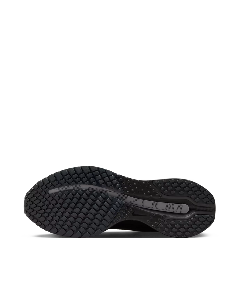Nike Pegasus Premium SP (Black/Metallic Silver-White)